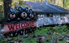 Misty Mountain Hop - Cobbly Nob Cabin With Hottub, Fast Wi-Fi, Privacy, Pool